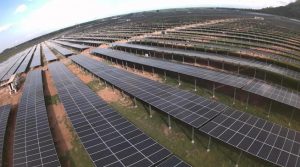 TẬP ĐOÀN SAO MAI (VIỆT NAM)